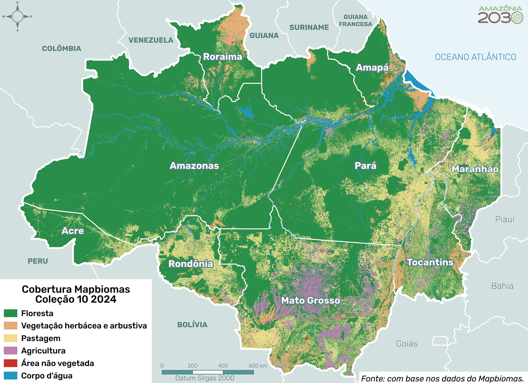 Cobertura e uso do solo classe nível 1 na Amazônia Legal, 2024.